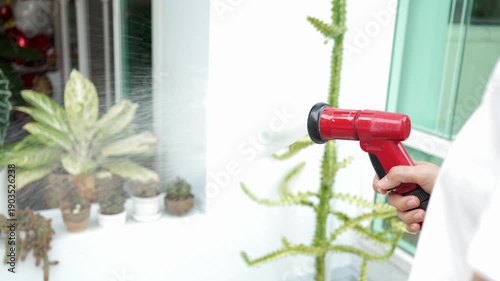 Woman watering plants in her garden. Urban gardening watering fresh vegetables nature and plants care
