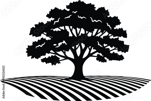 Silhouette of large tree on farmland, black and white vector illustration, countryside nature landscape, agriculture scene, rural field artwork