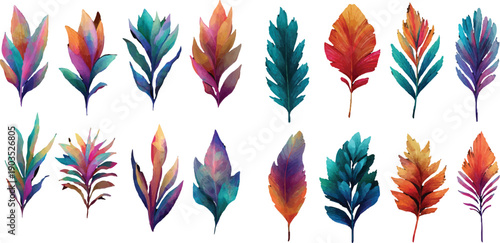 set of colored feathers