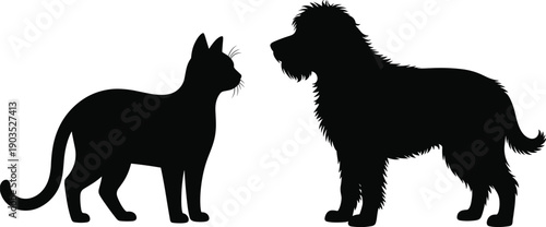 Silhouette of a domestic cat and a fluffy dog standing and facing each other on a clean white isolated background