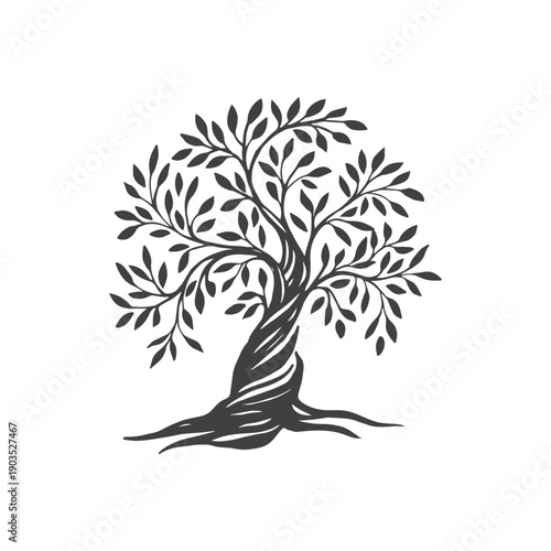 Hand draw abstract Olive tree. Organic nature symbol. Tree branch with leaves signs. Natural plant design elements emblems in vintage style. Vector illustration.