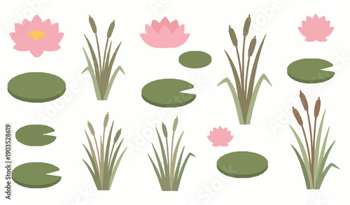 Cartoon aquatic plant vector set with lotus lily pads and marsh grass for wetland ecosystem and nature education isolated on white