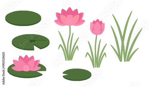 Cute cartoon wetland aquatic plant vector set with lotus lily pads and marsh grass for kids nature and ecosystem education