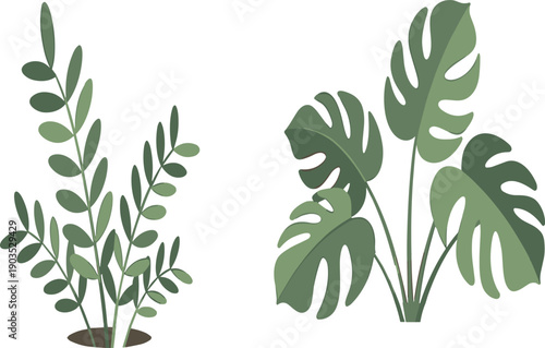 Green leafy plant illustration vector set with tropical foliage and houseplant leaves for botanical, interior decor, and nature design projects