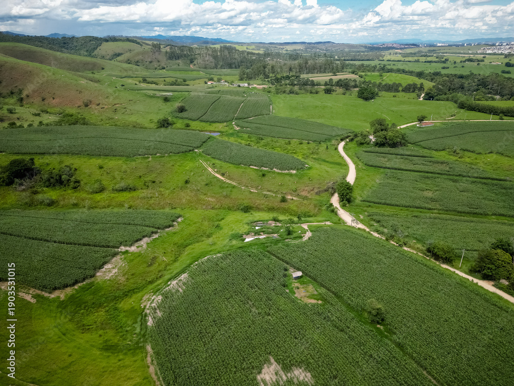 Fototapeta premium Vista aérea com drone de uma plantação de milho cercada por morros verdes e área rural, formando uma paisagem agrícola ampla e cinematográfica sob céu nublado.