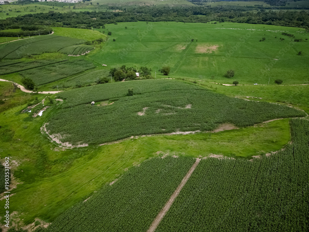 Obraz premium Vista aérea com drone de uma plantação de milho cercada por morros verdes e área rural, formando uma paisagem agrícola ampla e cinematográfica sob céu nublado.