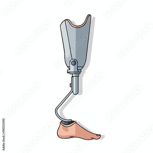 Illustration of a Prosthetic Leg