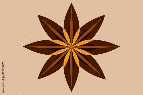 Brown Star Anise Spice on Beige Background abstract