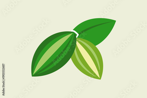 Two Green Cocoa Pods with Leaves on Cream Background