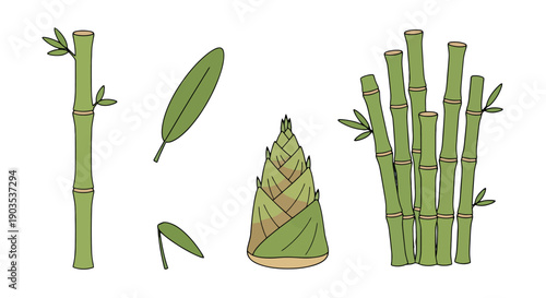 Cartoon bamboo illustration featuring green stalks leaves and a distinct pointed shoot.