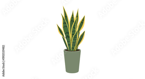 Vibrant variegated snake plant with yellowedged green leaves in a sage pot illustration.