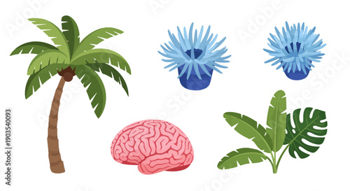 Collection of Diverse Isolated Illustrations Tropical Plants Palm Tree Human Brain.