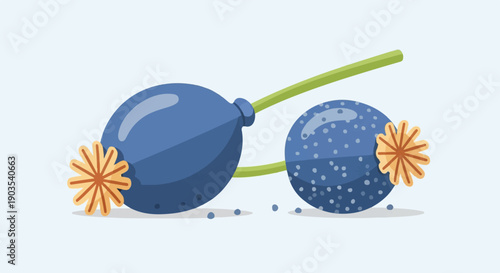 Two stylized blue poppy seed pods with brown starbursts on a light blue background