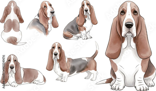 バセットハウンドの水彩風イラストセット