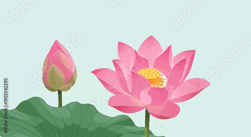 Two pink lotus flowers, one open, one bud, with green leaves against light blue