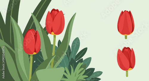 Vibrant red tulips bloom amongst lush green foliage, with two buds floating freely