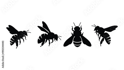 Four distinct silhouettes of bees showcasing various body shapes and wing positions Vector