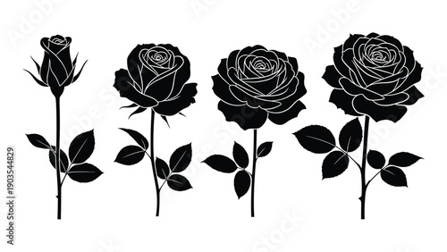 Four black roses with intricate details and delicate stems in a row Vector