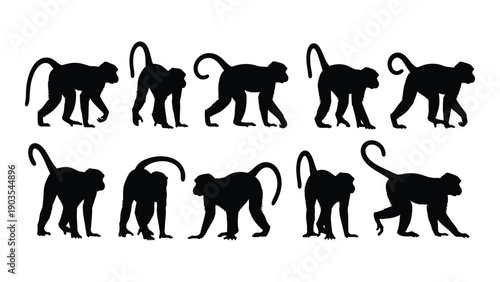 Eight black silhouettes of monkeys in various poses on a white background Vector