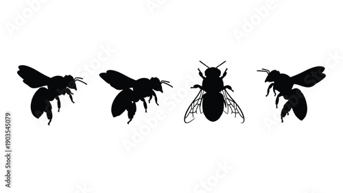 Silhouettes of various insects including bees and wasps in flight and at rest. Vector