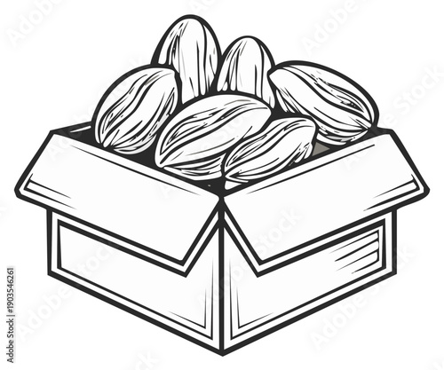Freshly harvested almonds spilling out of an open cardboard box, line art