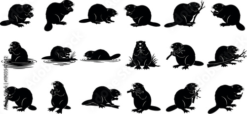 Beaver animal silhouettes set showing different poses and activities, black woodland wildlife icons collection for nature, forest and ecology designs