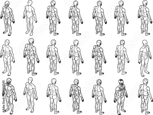 Illustrative anatomical diagrams detail human body structure, outlining a comprehensive view for educational purposes.