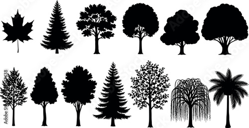 Black tree silhouette collection, different tree species shapes, forest and tropical nature elements, isolated vector set
