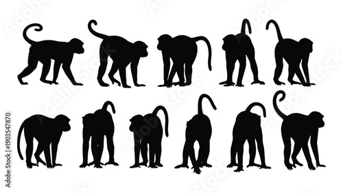 A collection of diverse silhouettes of cats in various poses and positions Vector