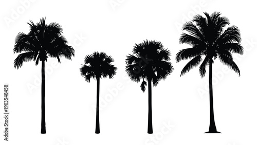 A group of four palm trees with different heights and leaf shapes Vector