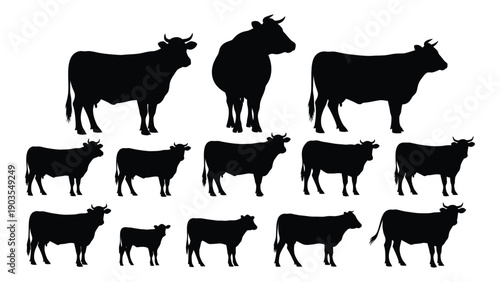 A collection of various cow silhouettes in different poses and sizes Vector