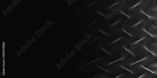 3D Vector wave lines pattern smooth curve flowing dynamic white light isolated on black background for concept of technology, digital