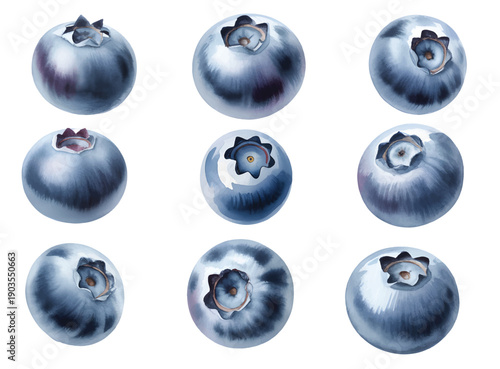 Botanical blueberry fruit collection isolated on background. Watercolor fresh blueberries branch with leaves.