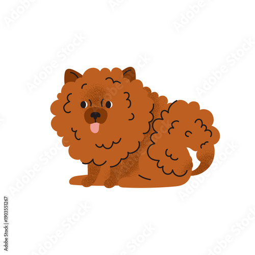 Pomeranian Spitz. Dog breed. Cute, funny pet. Domestic animal. Purebred dog. Cartoon vector illustration isolated on white background.