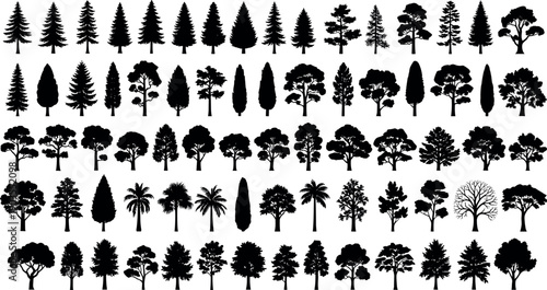 Large collection of black tree silhouette icons with diverse forest, tropical and ornamental shapes, isolated on white background for landscape, nature and design projects