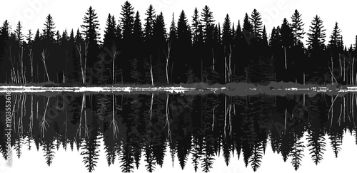 Coniferous pine forest reflection on calm lake water silhouette, panoramic evergreen tree shoreline landscape for nature and wilderness background design.