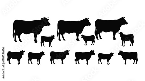 Silhouettes of various cattle breeds showcasing diversity in size and shape Vector