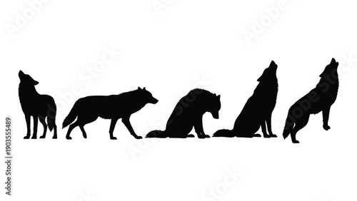 A group of wolves in silhouette against a white background Vector