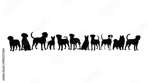 A diverse collection of various dog breeds standing in a line Vector