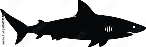 Silhouette of a shark swimming in the ocean