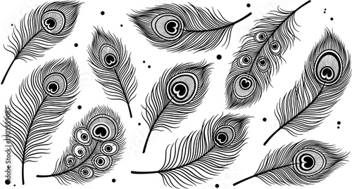 Peacock feather illustration set, decorative black line art, boho ornamental nature elements, isolated vector design