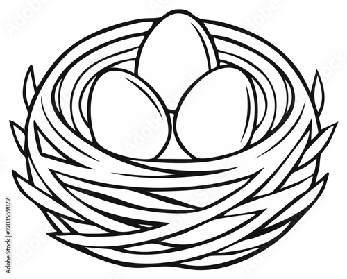 Hand Drawn Illustration of a Bird's Nest with Three Eggs