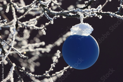 A blue ball on a frosted branch against a dark background