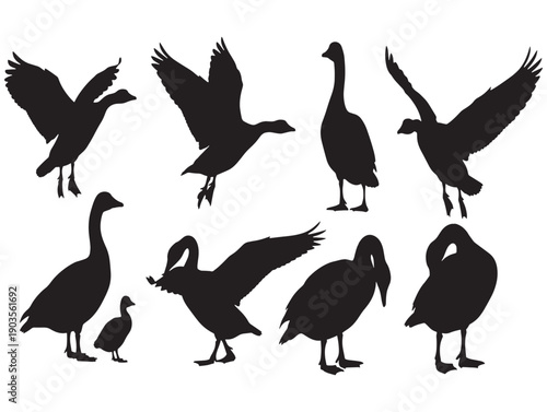 Collection of goose silhouettes in various poses and sizes