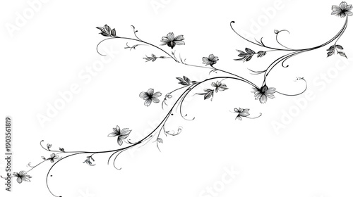 Elegant Black and White Floral Vine Ornament Illustration. Decorative Swirl Scroll Design Element.