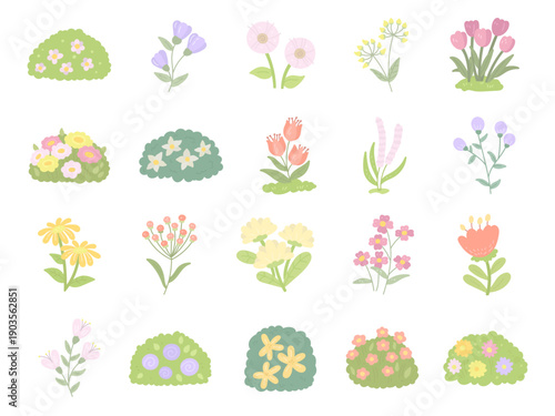 Flower plant garden set in scandinavian style with blooming meadow bushes stems leaves blossoms flora botany nature spring illustration elements