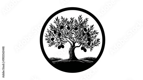 Vintage Hand-Drawn Olive Tree Illustration in Circle Frame. Rustic Black and White Graphic Design for Mediterranean Concept.