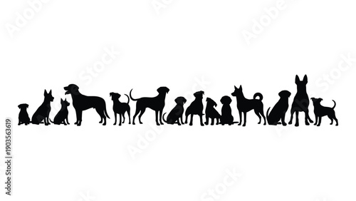 Silhouettes of various dog breeds standing in a row against a white background Vector