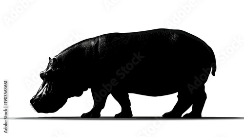 Majestic Hippopotamus Silhouette against a Pure White Background. Side View of a Large African River Mammal.