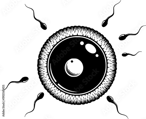 Human ovum or egg cell structure, representing the biological process of reproduction and conception
